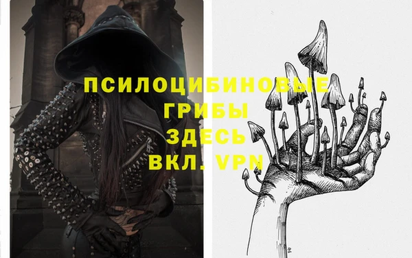 дмт Ростов