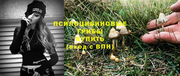 тгк Зеленодольск