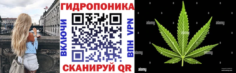 Шишки марихуана сатива  продажа наркотиков  Лиски 